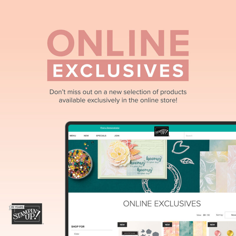 Stampin Up Online Exclusive products